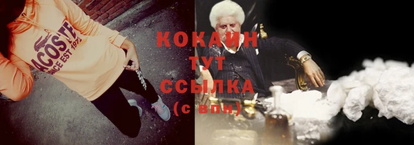 спайс Пересвет