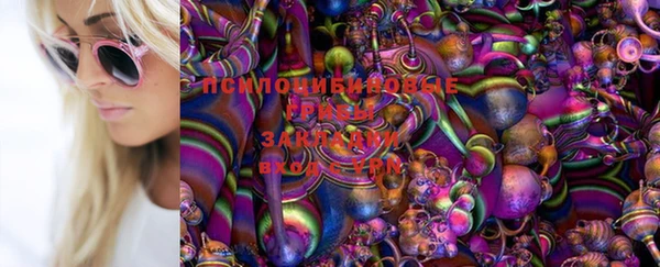 гашик Губаха