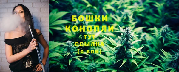 спайс Пересвет