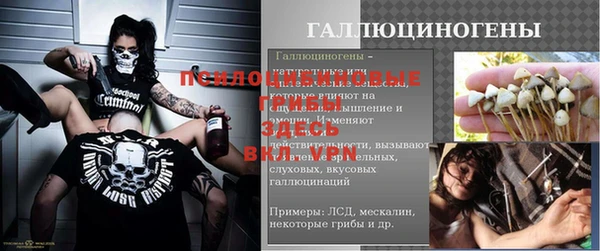не бодяженный Переславль-Залесский
