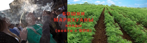 спайс Пересвет