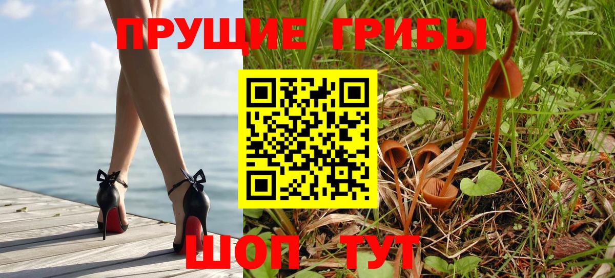 Псилоцибиновые грибы ЛСД  Апатиты 