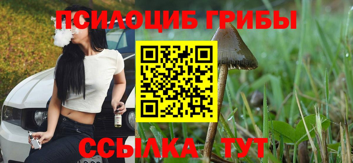 Псилоцибиновые грибы Psilocybine cubensis  Вход с VPN  Галлюциногенные грибы Psilocybine cubensis  Апатиты 