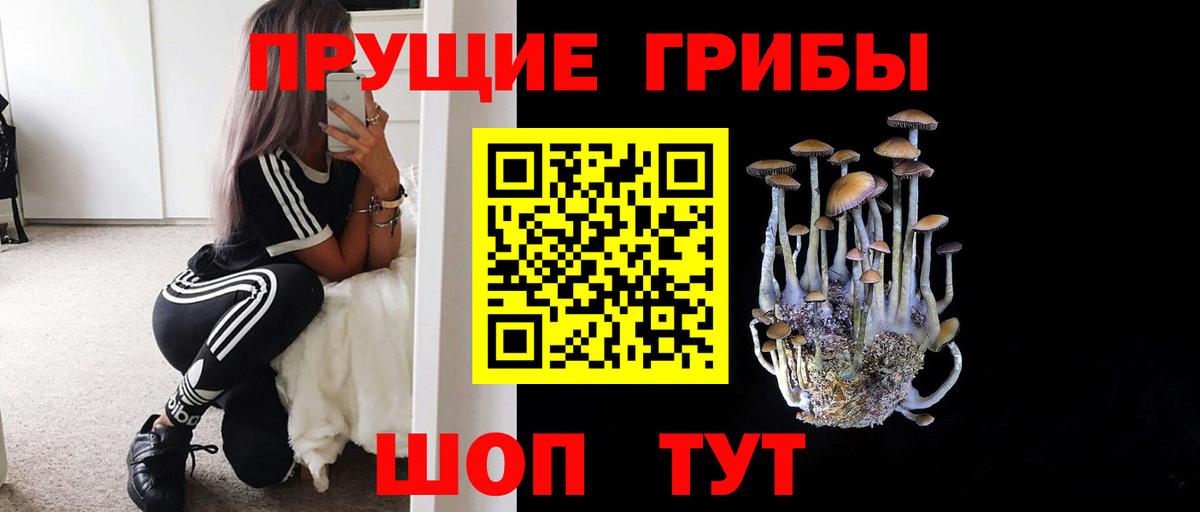 Героин Апатиты